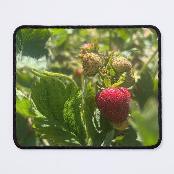 Item preview, Strawberries  designed and sold by Lauracolleen3.