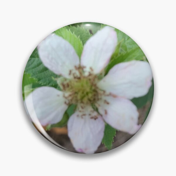 Item preview, First Blackberry Flower  designed and sold by Amanda1775.