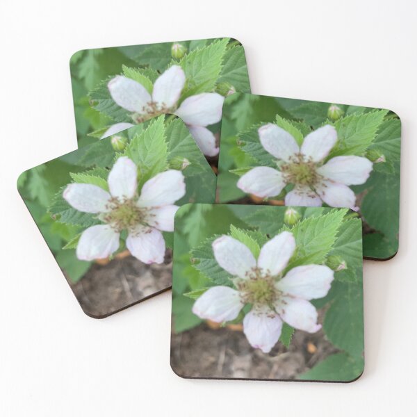 Item preview, First Blackberry Flower  designed and sold by Amanda1775.