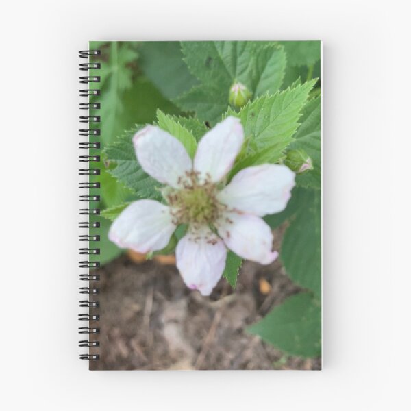 Item preview, First Blackberry Flower  designed and sold by Amanda1775.