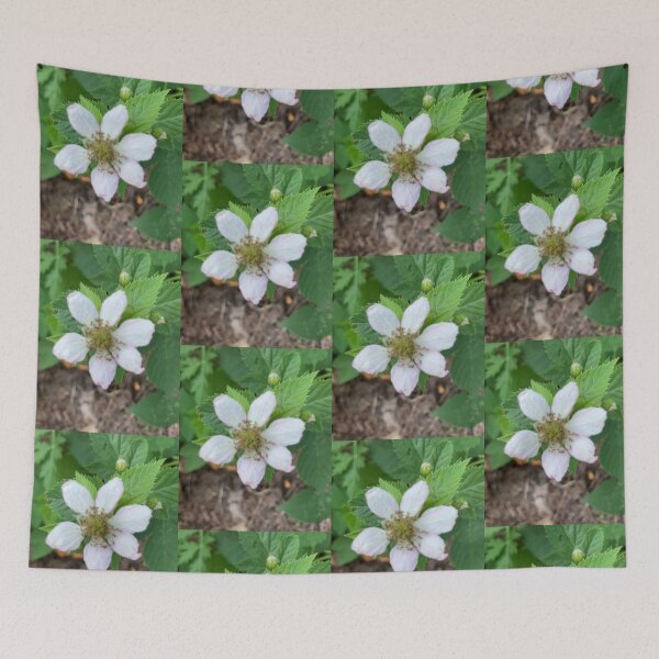 Item preview, First Blackberry Flower  designed and sold by Amanda1775.