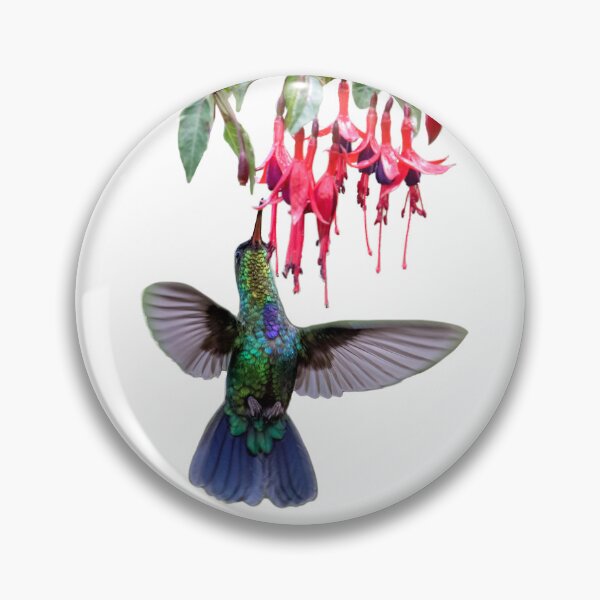 Artikelvorschau, Süßes genießen: Feuerkehlkolibri entworfen und verkauft von Rachel Lee Young - Land of the Hummingbird.