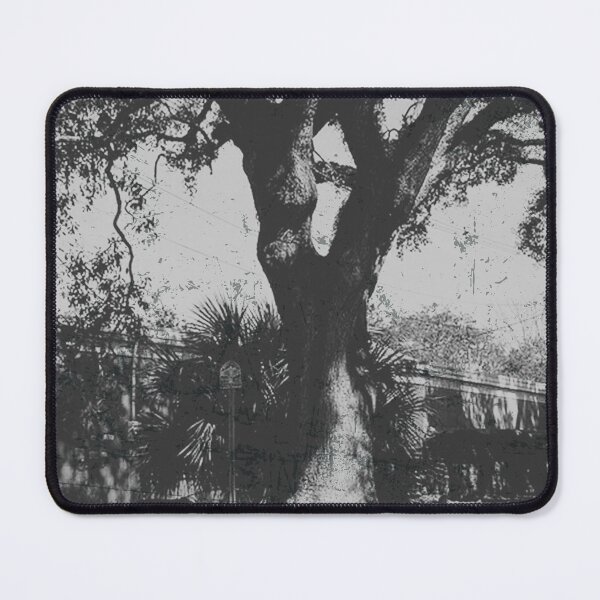 Item preview, Boyington Oak Worn Out Photograph designed and sold by GhostlyWorld.