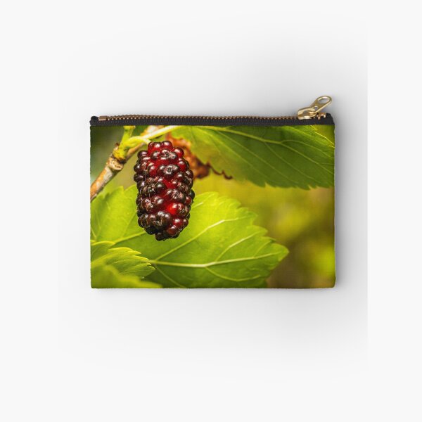 Item preview, Ripening Mulberry — Red to Black on a Sunlit Branch designed and sold by Rabee Khalil Photography.