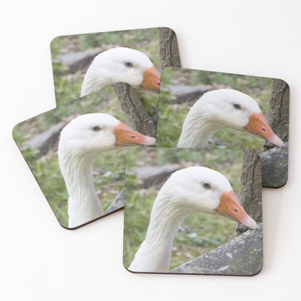 Item preview, White goose looking over wooden fence close-up designed and sold by World-of-Magic.