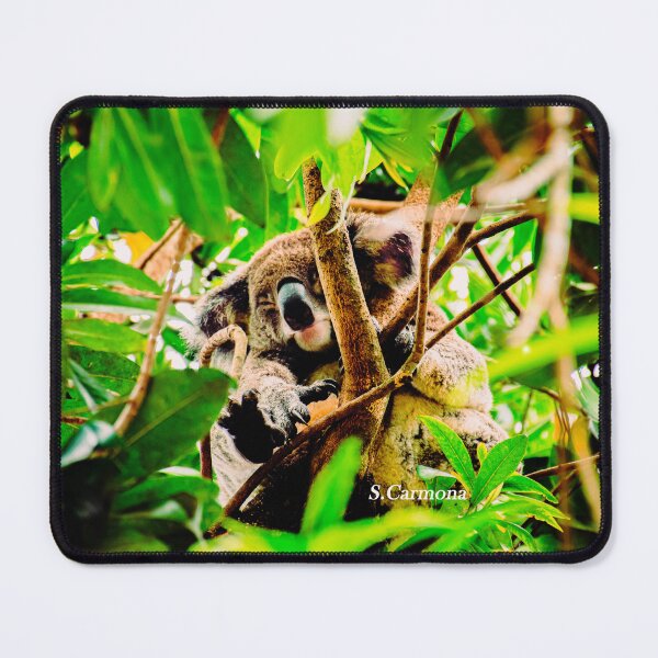 Item preview, The Hidden Koala - Wild Australian Koala designed and sold by AuraInkSC.