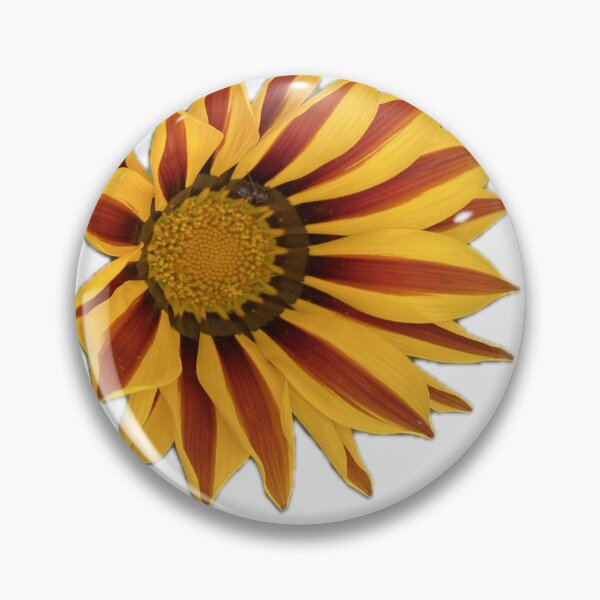 Item preview, Bold Yellow and Orange Striped Gazania Flower Cutout designed and sold by BalkanBloom.