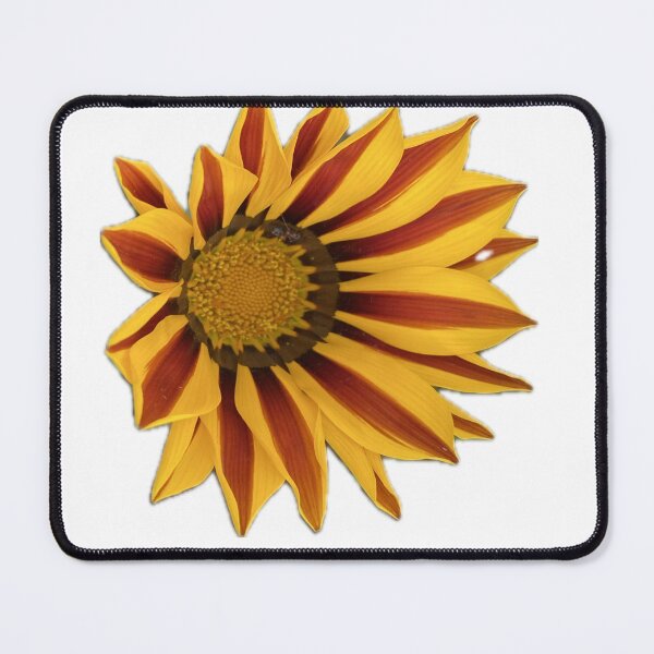 Item preview, Bold Yellow and Orange Striped Gazania Flower Cutout designed and sold by BalkanBloom.