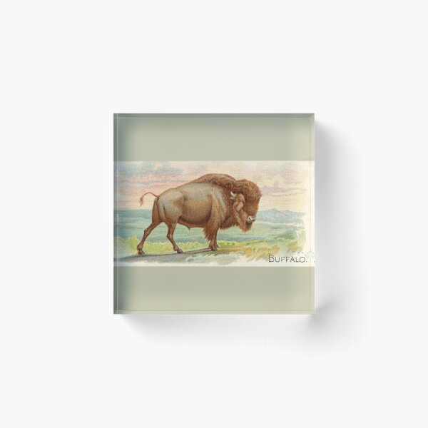 Item preview, Antique Buffalo designed and sold by collageDP.