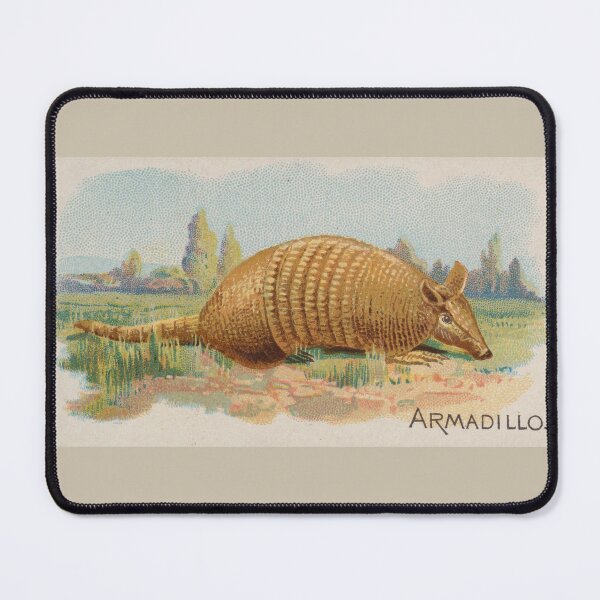Item preview, Antique Armadillo designed and sold by collageDP.