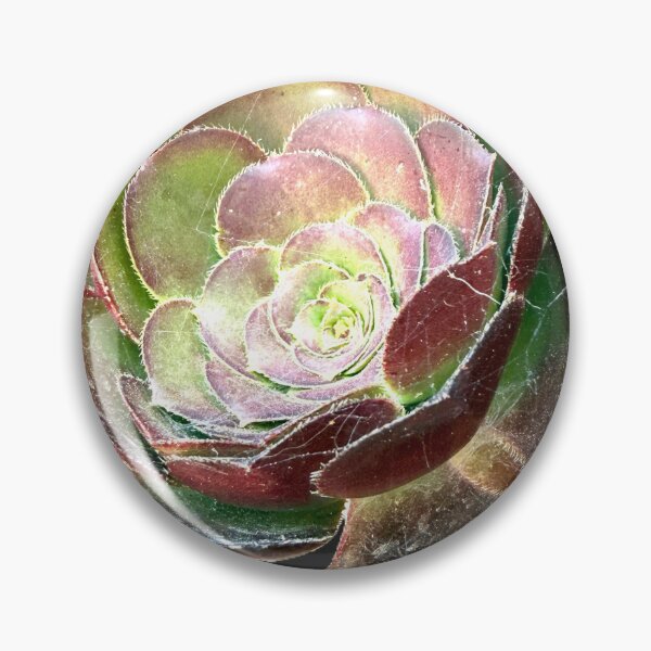 Item preview, Moody Dark Purple Aeonium Succulent Rosette Cutout designed and sold by BalkanBloom.