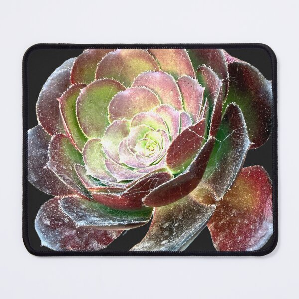 Item preview, Moody Dark Purple Aeonium Succulent Rosette Cutout designed and sold by BalkanBloom.