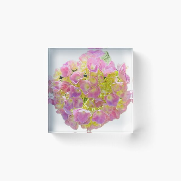 Item preview, Soft Pink and Lime Green Hydrangea Blossom Cutout designed and sold by BalkanBloom.