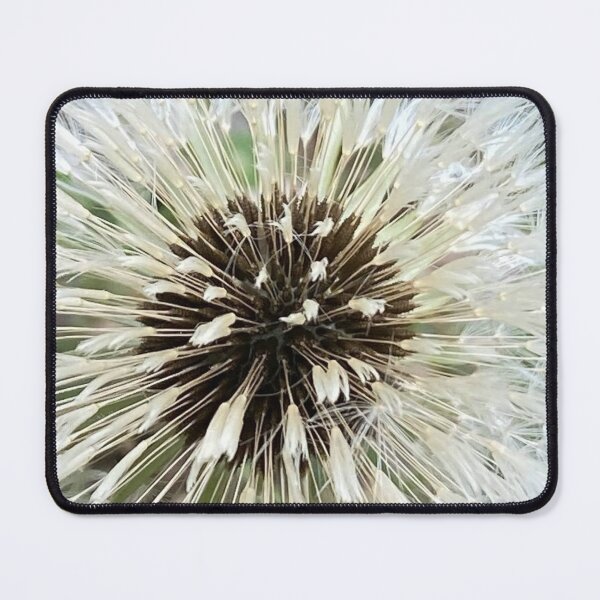 Item preview, Detailed Minimalist Dandelion Puff Seed Head Cutout designed and sold by BalkanBloom.
