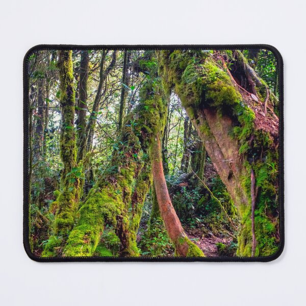 Item preview, Mossy Forest designed and sold by troianifabrizio.
