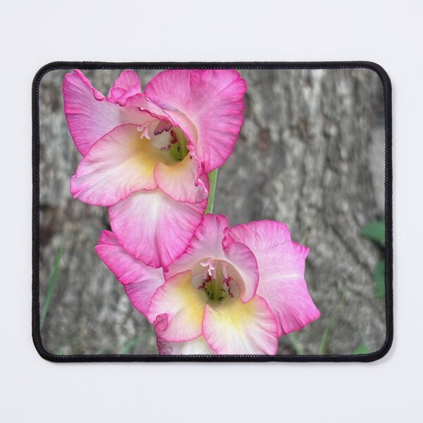 Item preview, Pink gladiolus designed and sold by TcDorsey88.
