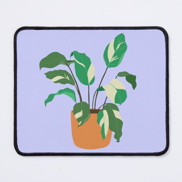 Item preview, Variegated Green and Cream Calathea Potted Plant designed and sold by Puddlescreation.