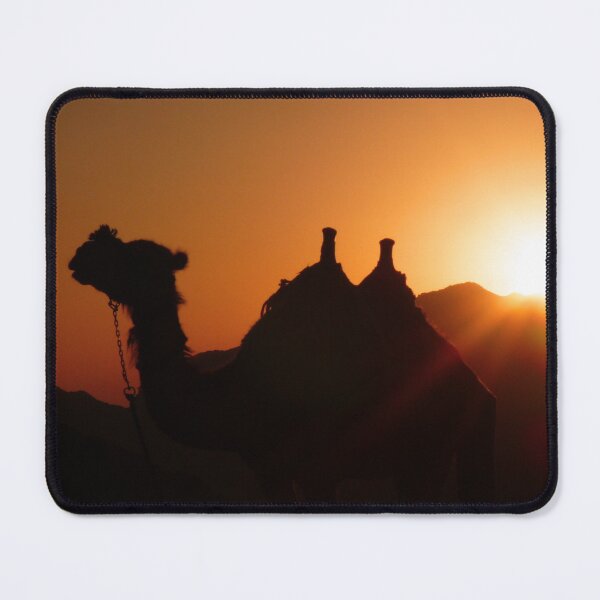 Item preview, Silhouette of a camel in Egypt designed and sold by Kiko 7.