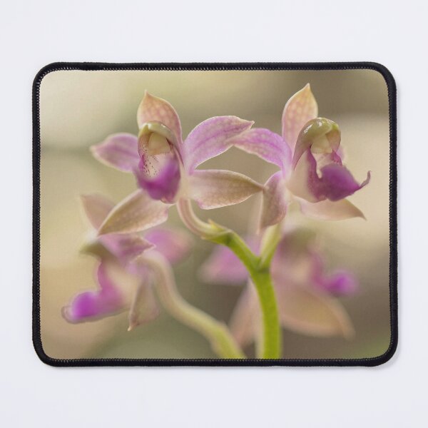 Item preview, Orchids #1 designed and sold by DroneWorks Creative.
