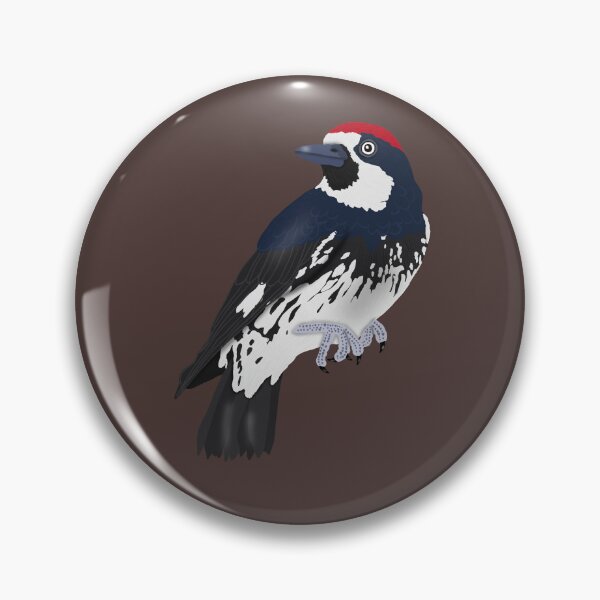 Item preview, Acorn Woodpecker designed and sold by BDBirds.