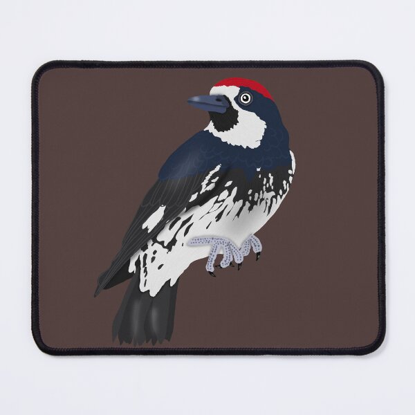 Item preview, Acorn Woodpecker designed and sold by BDBirds.