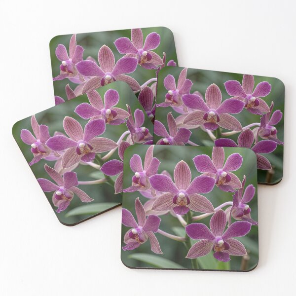 Item preview, Orchids #2 designed and sold by DroneWorks Creative.