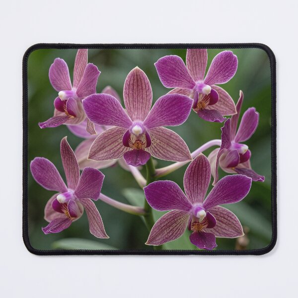 Item preview, Orchids #2 designed and sold by DroneWorks Creative.