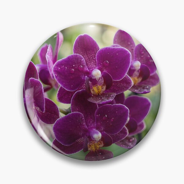 Item preview, Orchids #3 designed and sold by DroneWorks Creative.