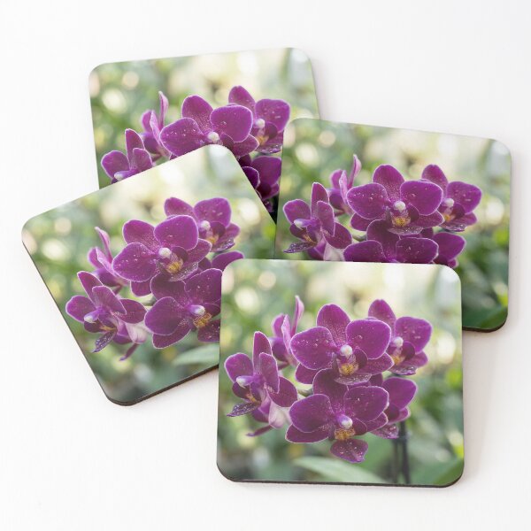Item preview, Orchids #3 designed and sold by DroneWorks Creative.