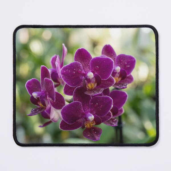 Item preview, Orchids #3 designed and sold by DroneWorks Creative.
