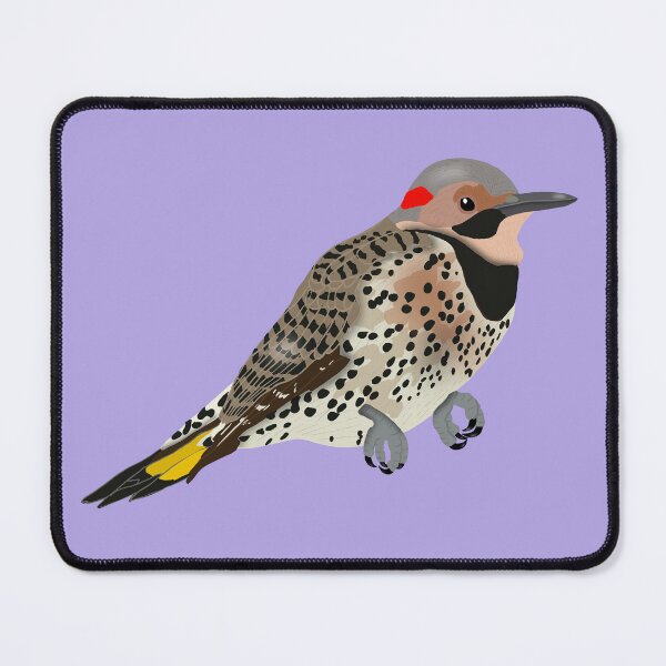 Item preview, Northern Flicker ( yellow-shafted ) designed and sold by BDBirds.