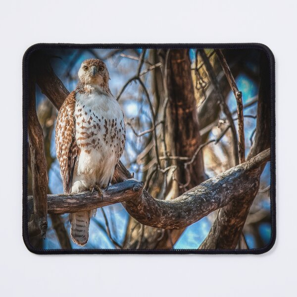 Item preview, Red-tailed Hawk designed and sold by Victor Kilman.