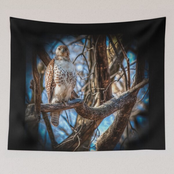Item preview, Red-tailed Hawk designed and sold by Victor Kilman.
