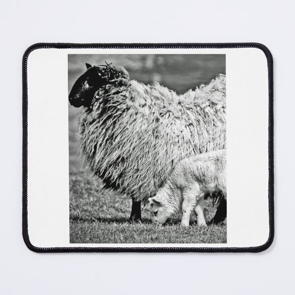 Item preview, Farm Sheep Family designed and sold by lizethdoyley.