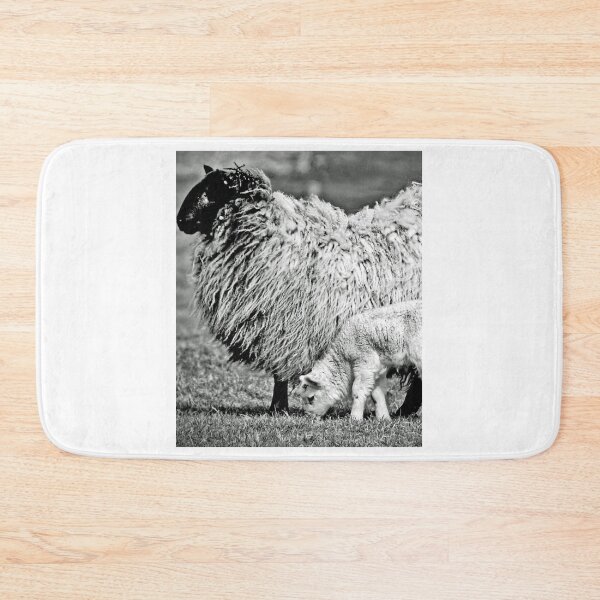 Item preview, Farm Sheep Family designed and sold by lizethdoyley.