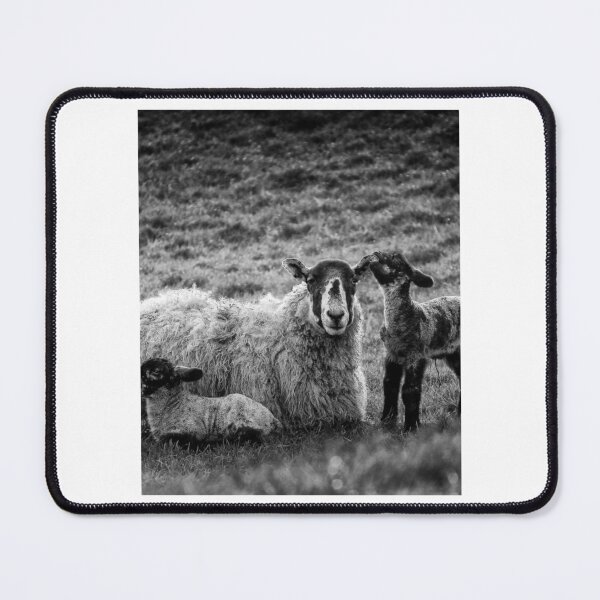Item preview, Farm Sheep Family 2 designed and sold by lizethdoyley.