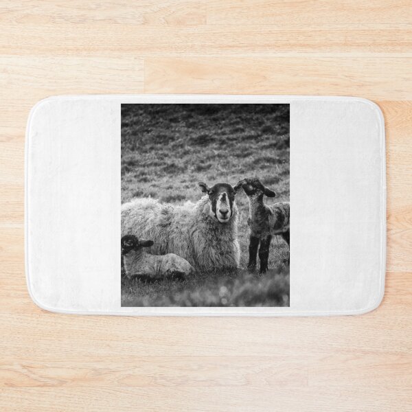 Item preview, Farm Sheep Family 2 designed and sold by lizethdoyley.