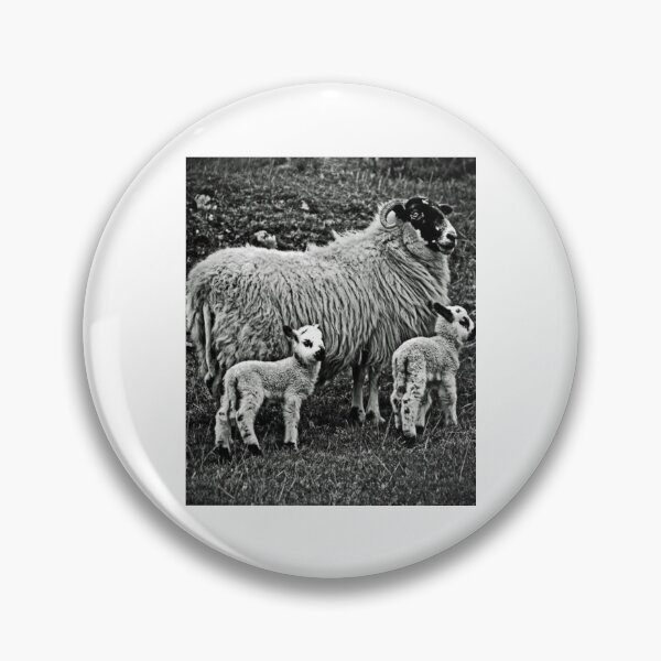 Item preview, Farm Sheep Family #3 designed and sold by lizethdoyley.