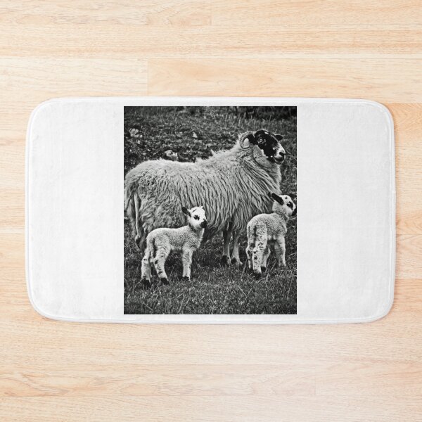 Item preview, Farm Sheep Family #3 designed and sold by lizethdoyley.