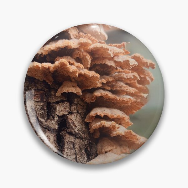 Item preview, Cluster of mushrooms designed and sold by Baulmonart.