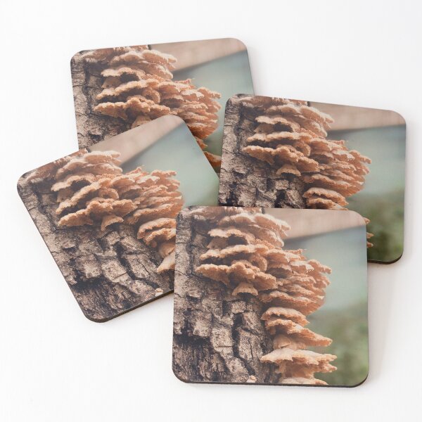 Item preview, Cluster of mushrooms designed and sold by Baulmonart.