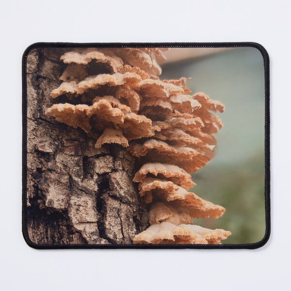 Item preview, Cluster of mushrooms designed and sold by Baulmonart.