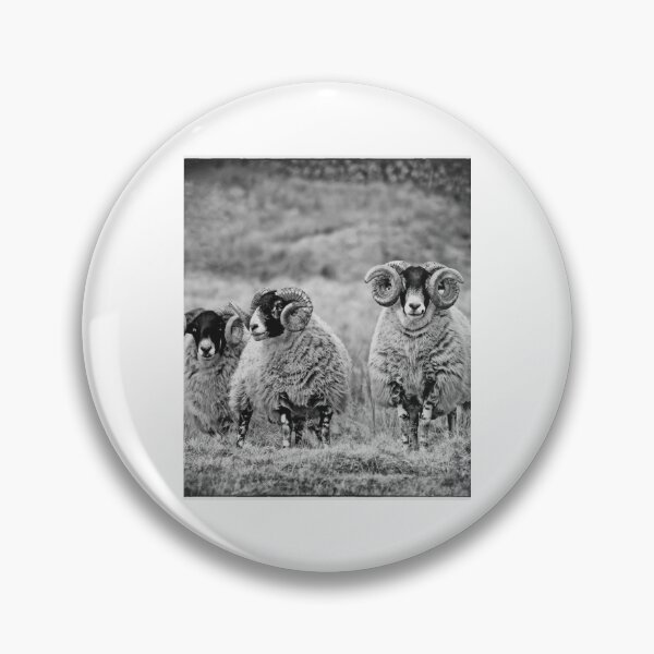 Item preview, Farm Sheep Family #5 designed and sold by lizethdoyley.