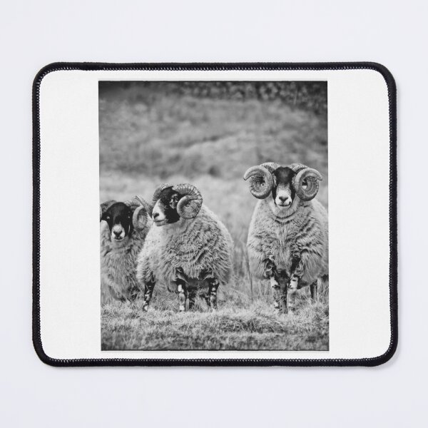 Item preview, Farm Sheep Family #5 designed and sold by lizethdoyley.