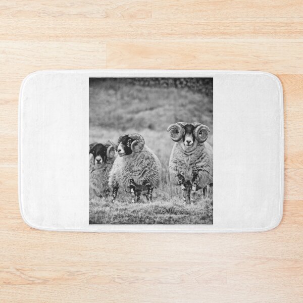 Item preview, Farm Sheep Family #5 designed and sold by lizethdoyley.