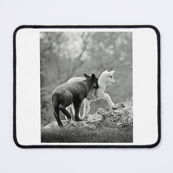 Item preview, Sheep Duo designed and sold by lizethdoyley.