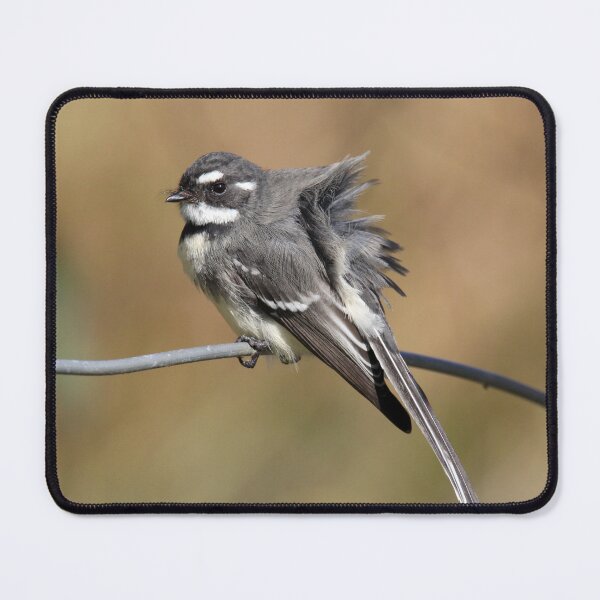 Item preview, Grey Fantail Fluffing Feathers on a Wire designed and sold by 27Tammy27.