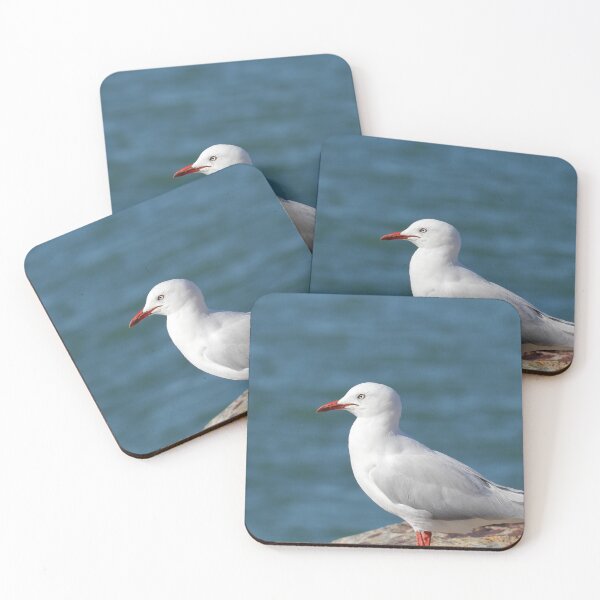 Item preview, Australian Silver Gull by Blue Ocean designed and sold by 27Tammy27.