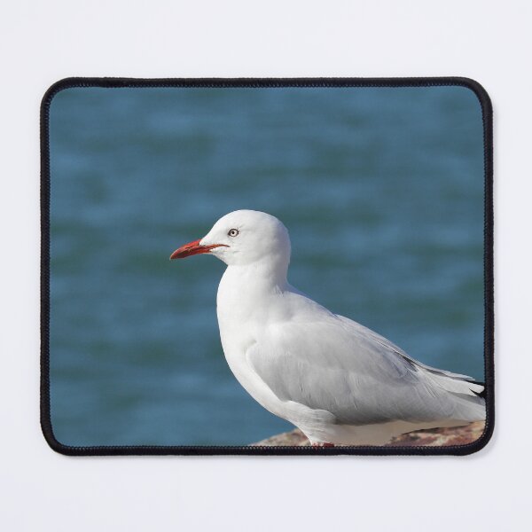 Item preview, Australian Silver Gull by Blue Ocean designed and sold by 27Tammy27.