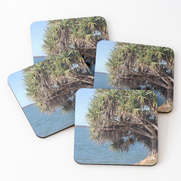 Item preview, Pandanus Tree at Spinnaker Park Gladstone designed and sold by 27Tammy27.